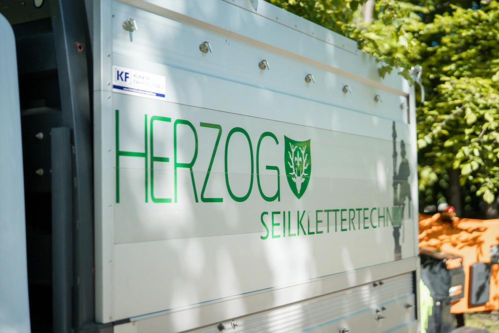 Herzog-SKT-Waldsamenernte-Galerie4